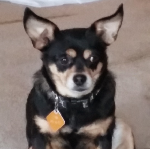 Meet your Posher, Mary a - Picture 4 of 8